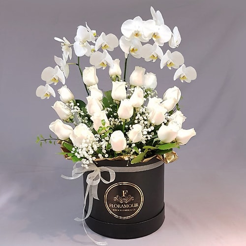 Elegante presente floral que incluye dos docenas de rosas seleccionadas y Orquí­deas Phaleanopsis, todo montado en caja redonda vintage. Colorido de orquí­deas podría variar según disponibilidad e importación (Sólo Santiago) Seleccione color de las rosas: